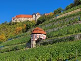 Burgenland_540-177441-142858