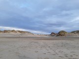 Dänemark, Dünen Vederso Klit, Strand