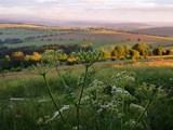 Annaberg-Buchholz_530-774401